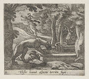 Plate 31: Thisbe Running from the Lionness at the Well (Thisbe leaenae spectu territa fugit), from Ovid's 'Metamorphoses'