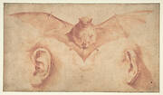 Studies of Two Ears and of a Bat. Below, the motto: FULGET SEMPER VIRTUS