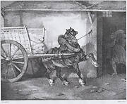 The Plastermaker's Horse