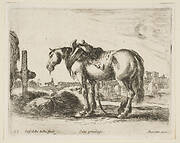 Plate 22: cart horse, from 'Various animals' (Diversi animali)