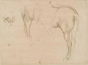 Studies of a horse