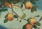 Persimmons and White-Eyes