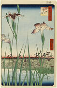 Horikiri Iris Garden (Horikiri no Hanashobu), No. 64 from One Hundred Famous Views of Edo