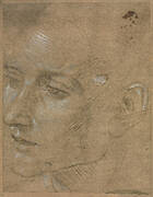 Head of a Young Man