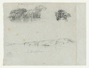 Sketches of Trees, Vines and a Bank of the Rio Magdalena, Columbia