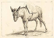 Mulet (Mule or Saddled Donkey)