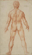 A standing male nude