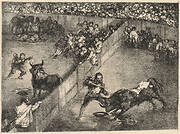 Bullfight in a Divided Ring