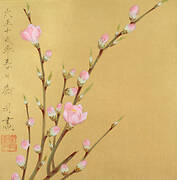 Peach Blossoms