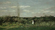 Spring Landscape