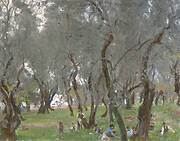 The Olive Grove