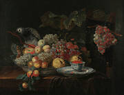 Still life with parrot