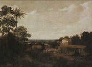 Brazilian Landscape