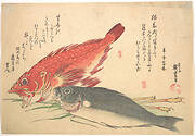 魚づくし　かさご　いさきに生姜|Isaki and Kasago Fish, from the series Uozukushi (Every Variety of Fish)