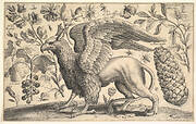 A Griffin