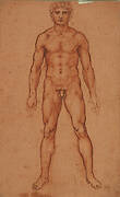 A standing male nude