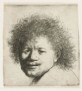 Self-portrait with long bushy hair: head only