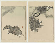 Pine and Turtles, from Seitei's Picture Album of Birds and Flowers Vol. 3