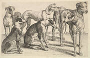 Six Hounds