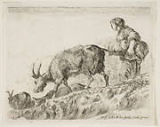 Plate 14: shepherdess herding goats, from 'Various animals' (Diversi animali)