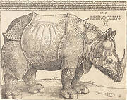 The Rhinoceros