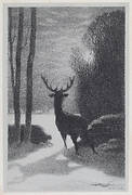 Stag in the Moonlight