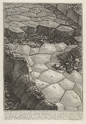 View of the stone pavement of the Appian Way (Veduta dell'antica Via Appia), from the series 'Le Antichità Romane'