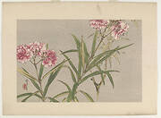 Oleander, from the series Seitei's Flowers and Birds