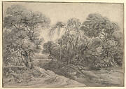 Forest Landscape