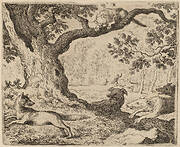 Reynard's Father and the Cat Pursued by Hounds