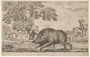 A wild boar running towards the left, a dog biting its ear behind to left, other dogs and horsemen in the background, from 'Hunts of various animals' (Chasses à différents animaux)