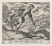 Plate119: The Death of Ajax (Aiax moretm Sibi consciscens, in florem abit), from Ovid's 'Metamorphoses'