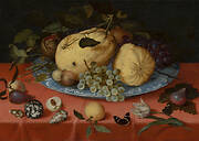 Fruit Still Life with Shells and Tulip