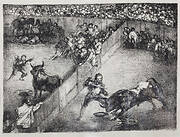 Bullfight in a Divided Ring