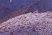 Banquet of the plum blossoms