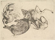 Boar, deer, heron and other game