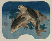 Carp Swimming by Water Weeds