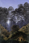 Forest Interior by Moonlight