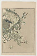 Grapes, from Seitei's Picture Album of Birds and Flowers Vol. 1