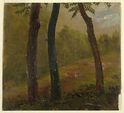 Woodland Scene, Jamaica