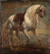 A Grey Horse