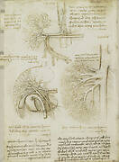 Recto: The vessels and nerves of the neck. Verso: The vessels of the liver