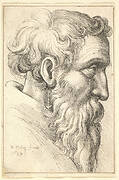 Bearded old man in profile to right