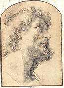 Study of the Head of Saint Crispin