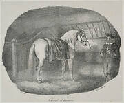 Horse from Hanover