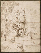 The Tree-Man, c. 1505