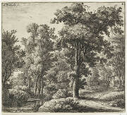 Ingang van het bos