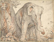 An Elephant Rubbing Itself against a Tree, c. 1608-1612