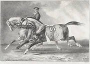 Two Dappled-Grey Horses Being Exercised