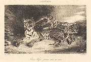 Young Tiger Playing with its Mother (Jeune tigre jouant avec sa mère)